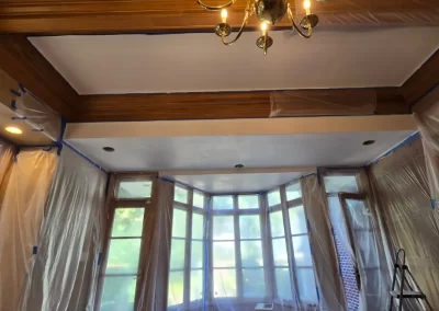 Professional Remodeler